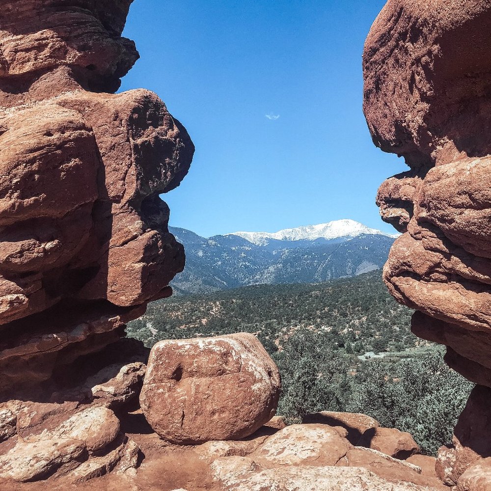 Meet your Posher, Annalise